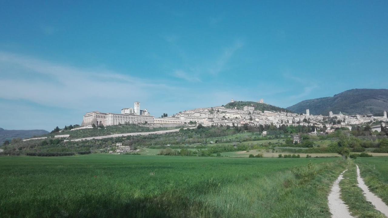 Casa Del Frate Lejlighed Assisi Eksteriør billede